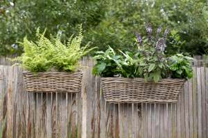 Set: Rattan Balkonkästen mit Bügel