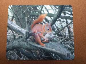 Eichhörnchen-Mousepad mit Tierlaut und Tierinfos zum Anhören