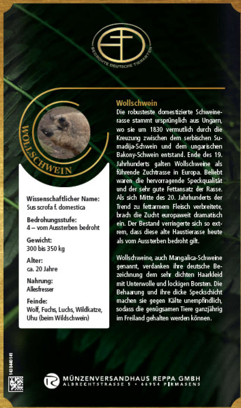 Miniaturansicht des Produkts
