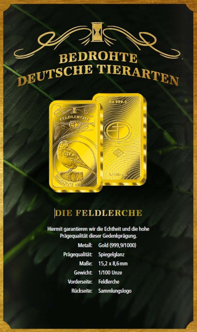 Miniaturansicht des Produkts