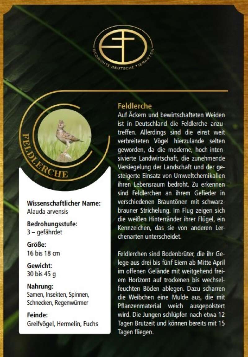 Miniaturansicht des Produkts