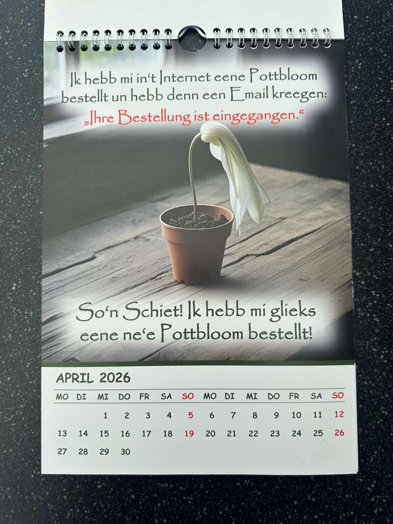 Miniaturansicht des Produkts