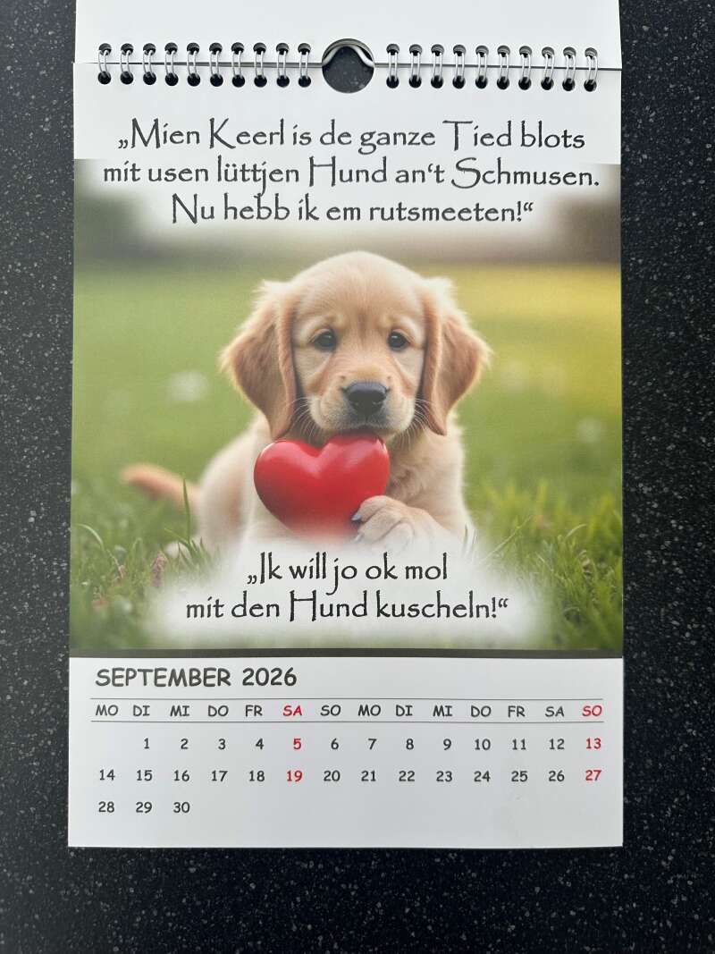 Miniaturansicht des Produkts